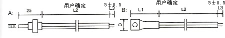 Bullet head probe temperature sensor size