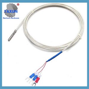 Temperature Sensor : Pt100 RTD, -58 to 572 deg F stainless steel sheath, 6ft 24 AWG wire leads